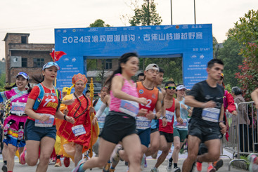 双圈同出发