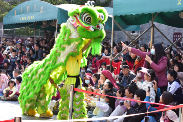 《与狮共舞》