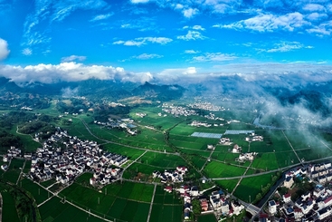稻香村