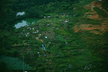 乡村
