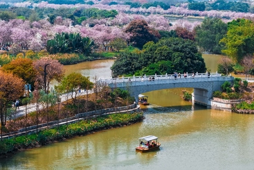 《春日游园图》