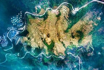 《云和梯田：千层梯田的云端美景》