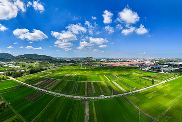 《稻田织锦绣 美景入画来》
