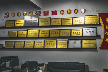 三王村的荣誉