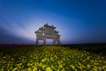 暗香花月夜
