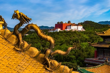 天龙净地