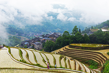 “绿色家园”