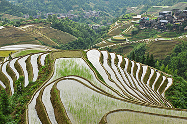 ”青山如画“（竖片）