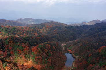 《秋染层林·翠湖嵌山》