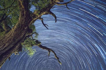 溪口红军树的星轨