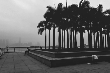 我的美丽乡愁7