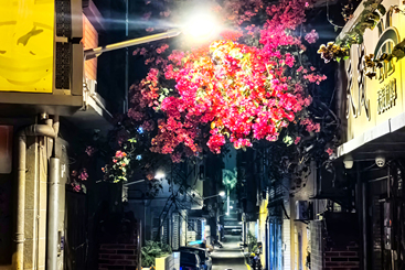 繁花小巷