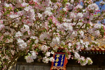 古与新时