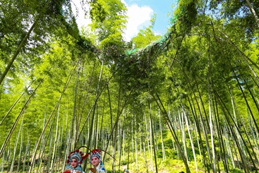 竹林剧场