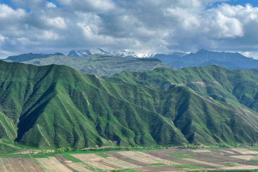 雪山和麦田