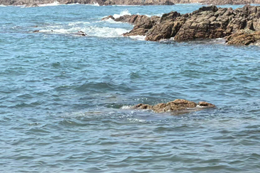 清澈的海水