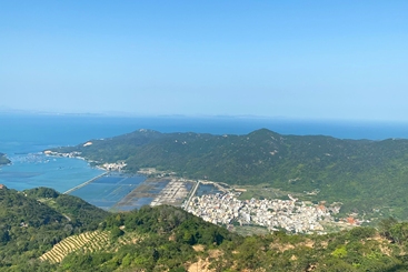 后花园村——海阔天空