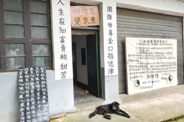 《“知过去，晓未来”，乡村算命馆》