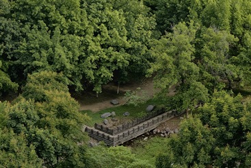 《Yuan》