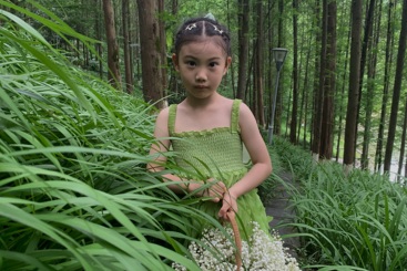 绿野仙踪