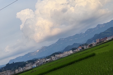 山下有人家