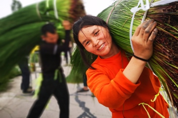 组照七：扛草