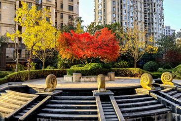 园林小区温馨家园