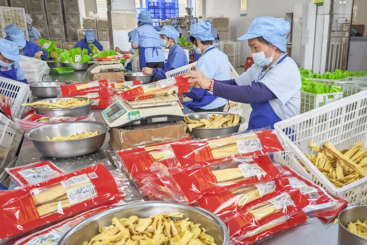 腐竹龙头带富一方