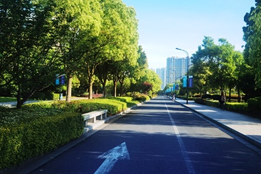 浙财大东方学院校园风景组照1-5之5