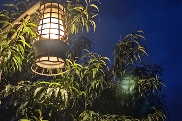 夜光