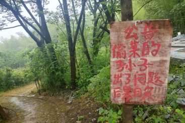《警告，严厉警告：别让我抓到你》