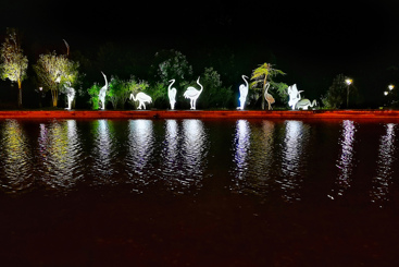 《龙虎山之夜》