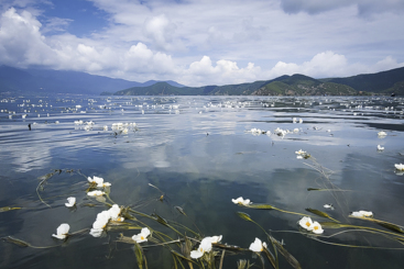 泸沽湖：云水之间-2
