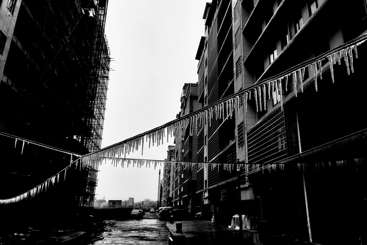 《我来弹一曲，谁解其中意》