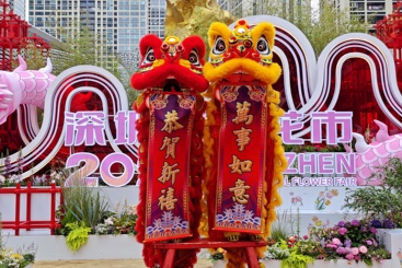 《龙腾狮舞迎新春》2
