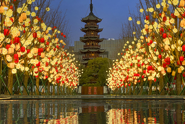 繁花——上海龙华龙年灯会