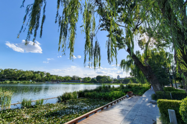 绿美京华，生态什刹海（组图之五）