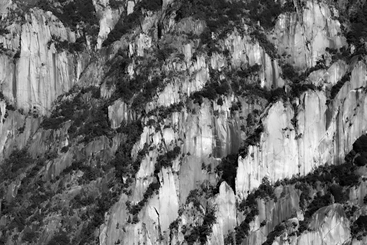 水墨柔镜绘黄山（组图之三）