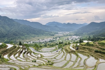 梯田（四）