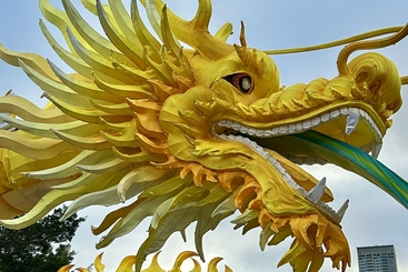 花开罗湖 龙腾盛世