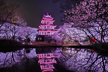 鼋头渚赏樱楼夜晚灯光