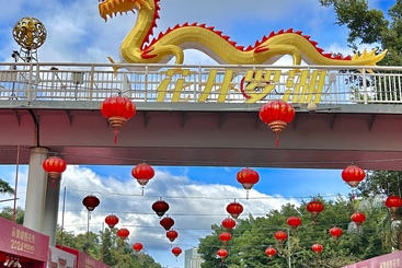 花开罗湖 龙腾盛世