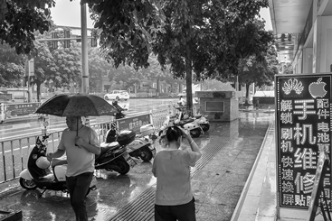 雨中即景6
