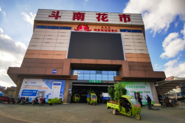 昆明斗南花卉市场热闹非凡