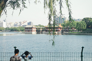 《公园20分钟效应》（2）