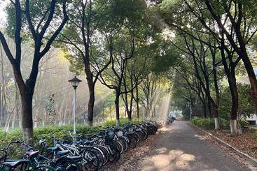 丁达尔效应