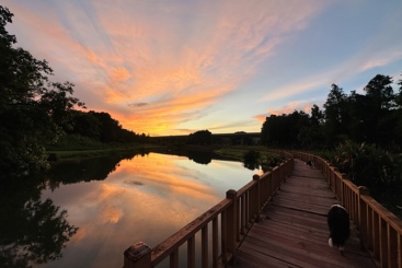 追赶夕阳（三）