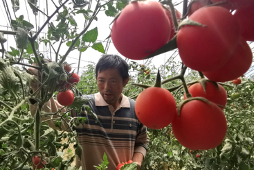 产业致富梦