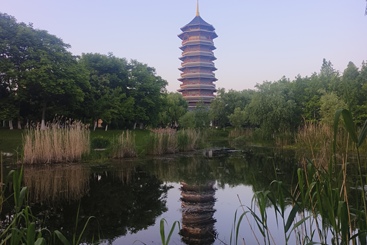 东方母爱公园景色一撇