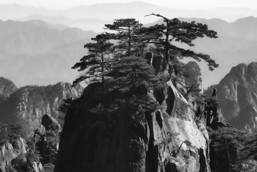 水墨柔镜绘黄山（组图之一）